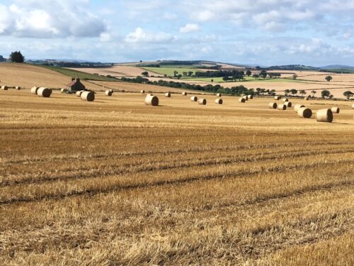 Harvest scene, straw bales: Brexit and land values photograph by Deb Roberts