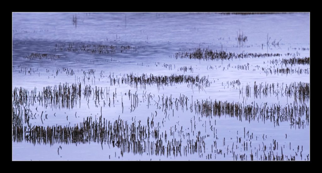 A flooded field, Bridge of Earn, Scotland.