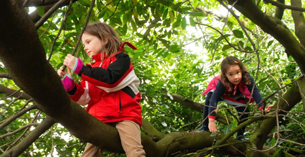 two young girls climb a tree: picture Alan McCredie