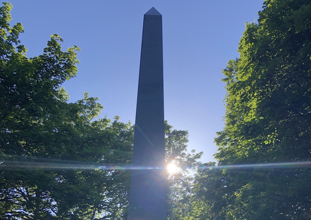 A beam of sunlight brightens a lockdown walk through Warriston Cemetery: photo Fay Young
