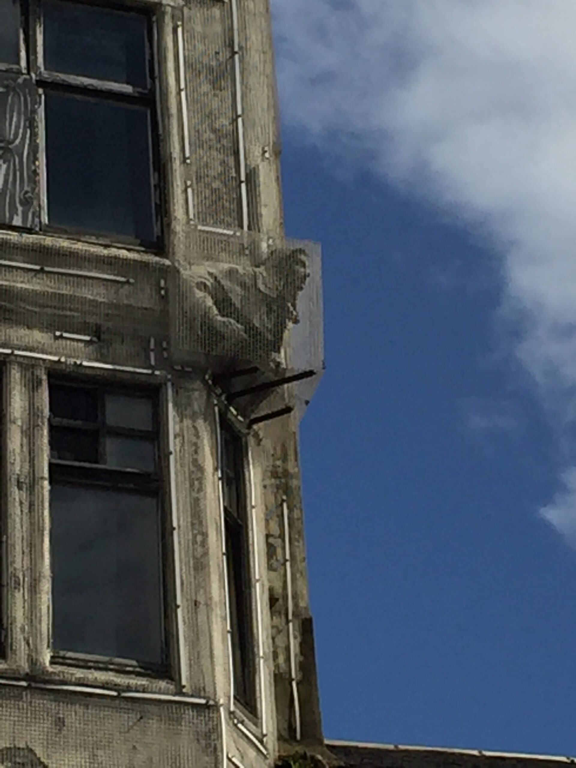A statue on Lion Chambers looks down Hope Street