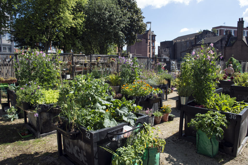 Raised flower beds of Greyfriars Garden. Picture Lenny Warren 