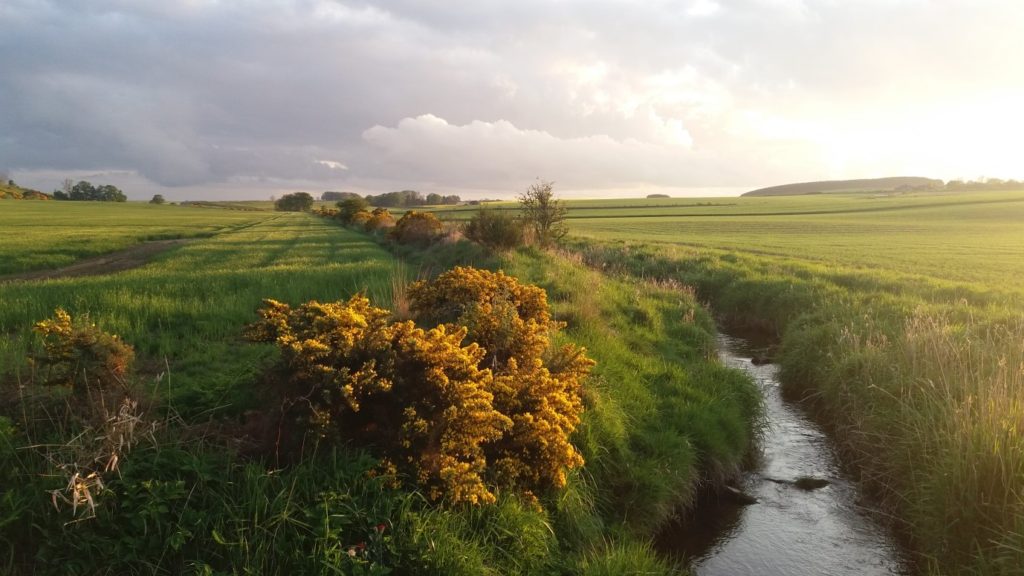 A stream runs through farmland: Brexit and Land values photograph by Deb Roberts