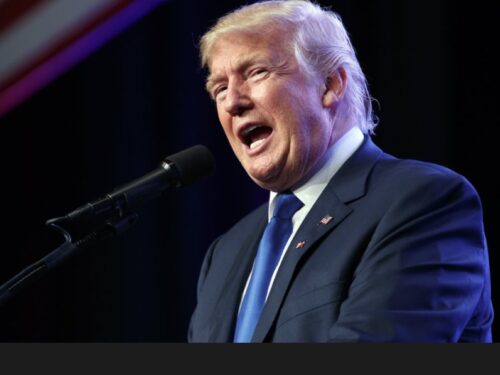 A portrait of Donald Trump, in blue tie, image by Ninian Reid CC By 2.0