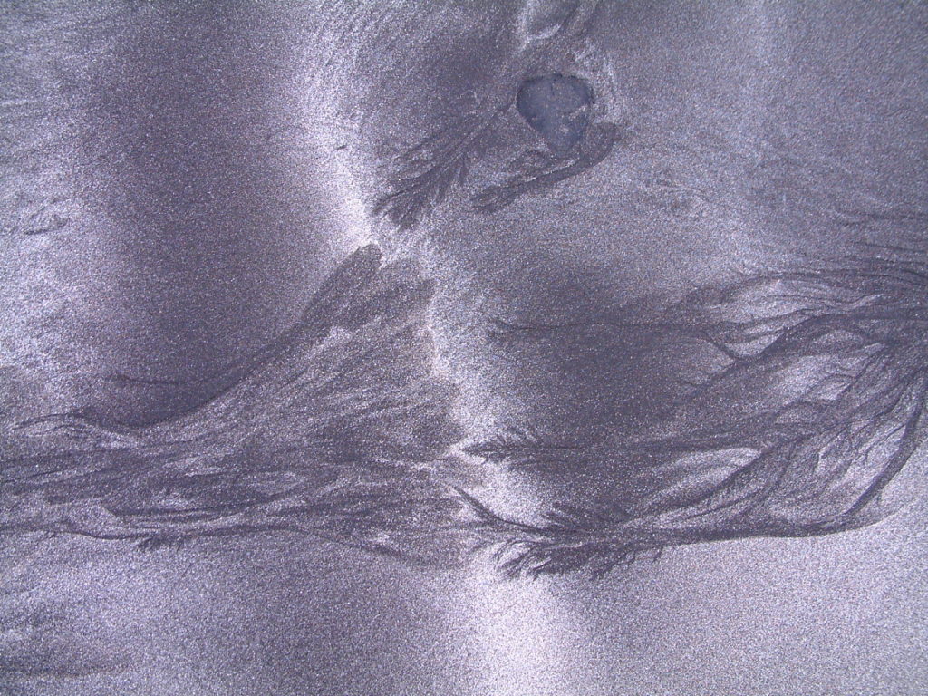 Traces of seaweed left by the tide