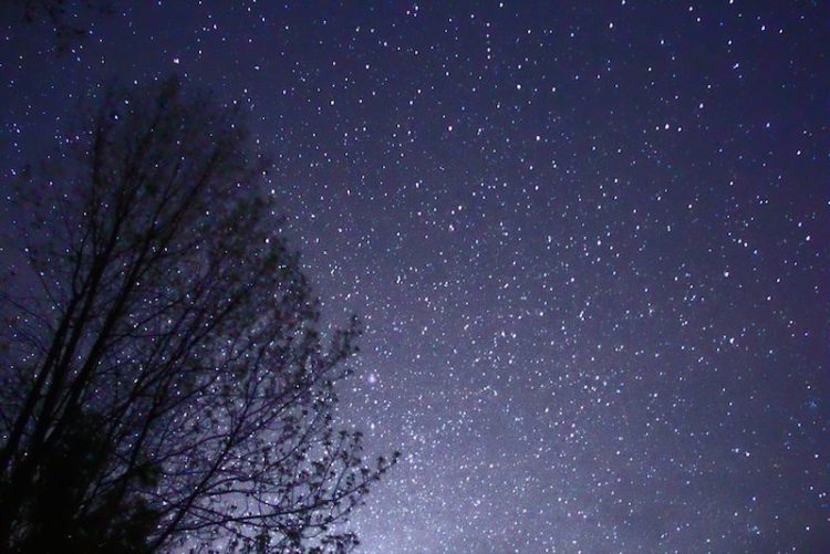 Starry night sky