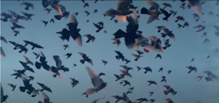 Screenshot, from Max Richter's Mercy, official music video by Yulia Mahr