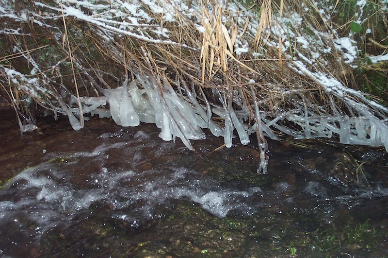 Melting ice drips into a foaming stream. Pond Cottage image Ray Perman