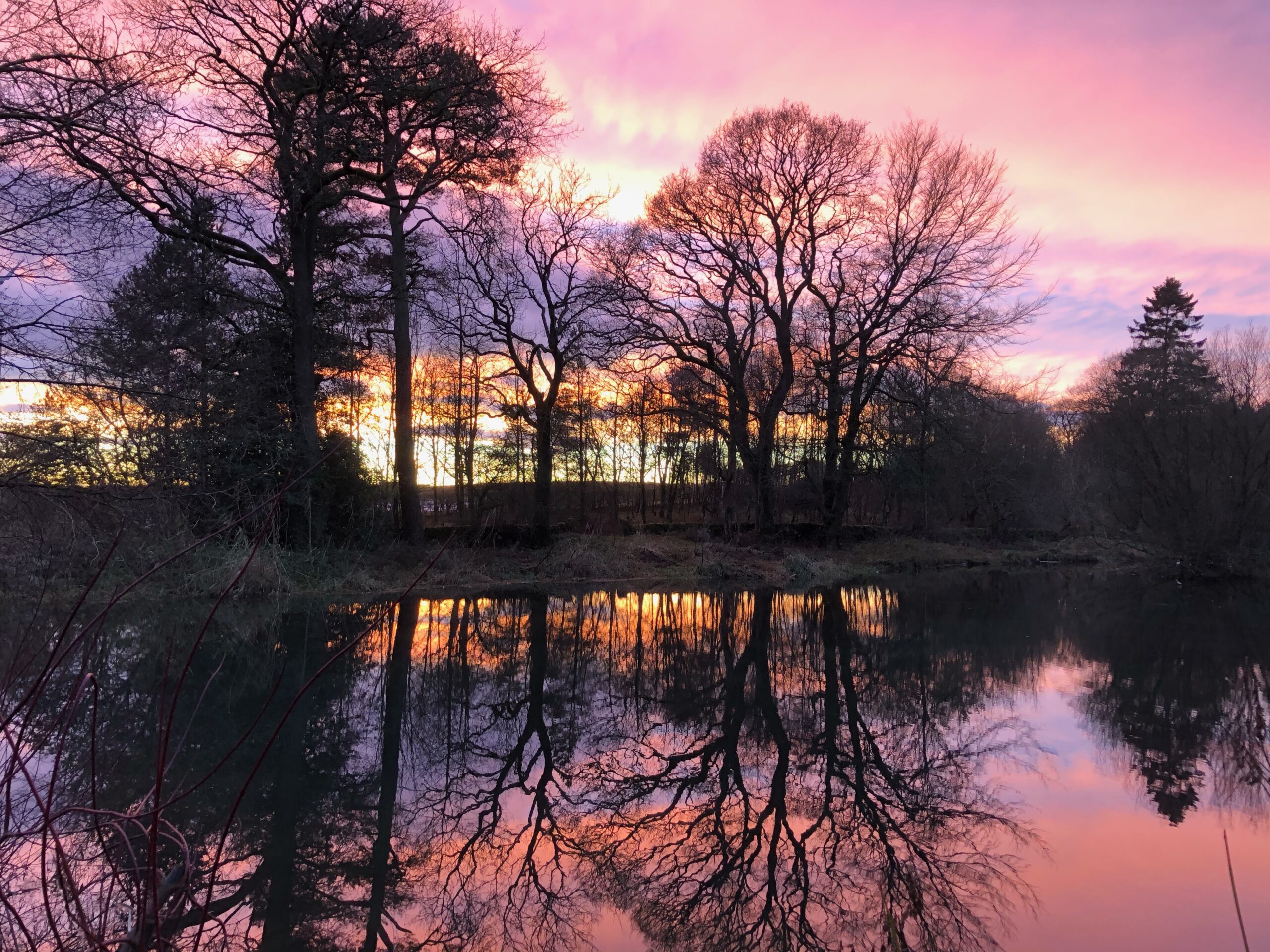 sunset sunrise? Photo Fay Young